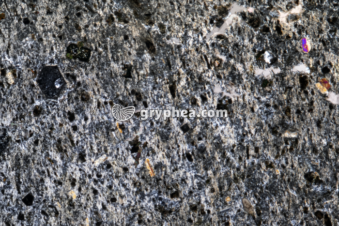 Basalte LPA x3 - gryphea.org